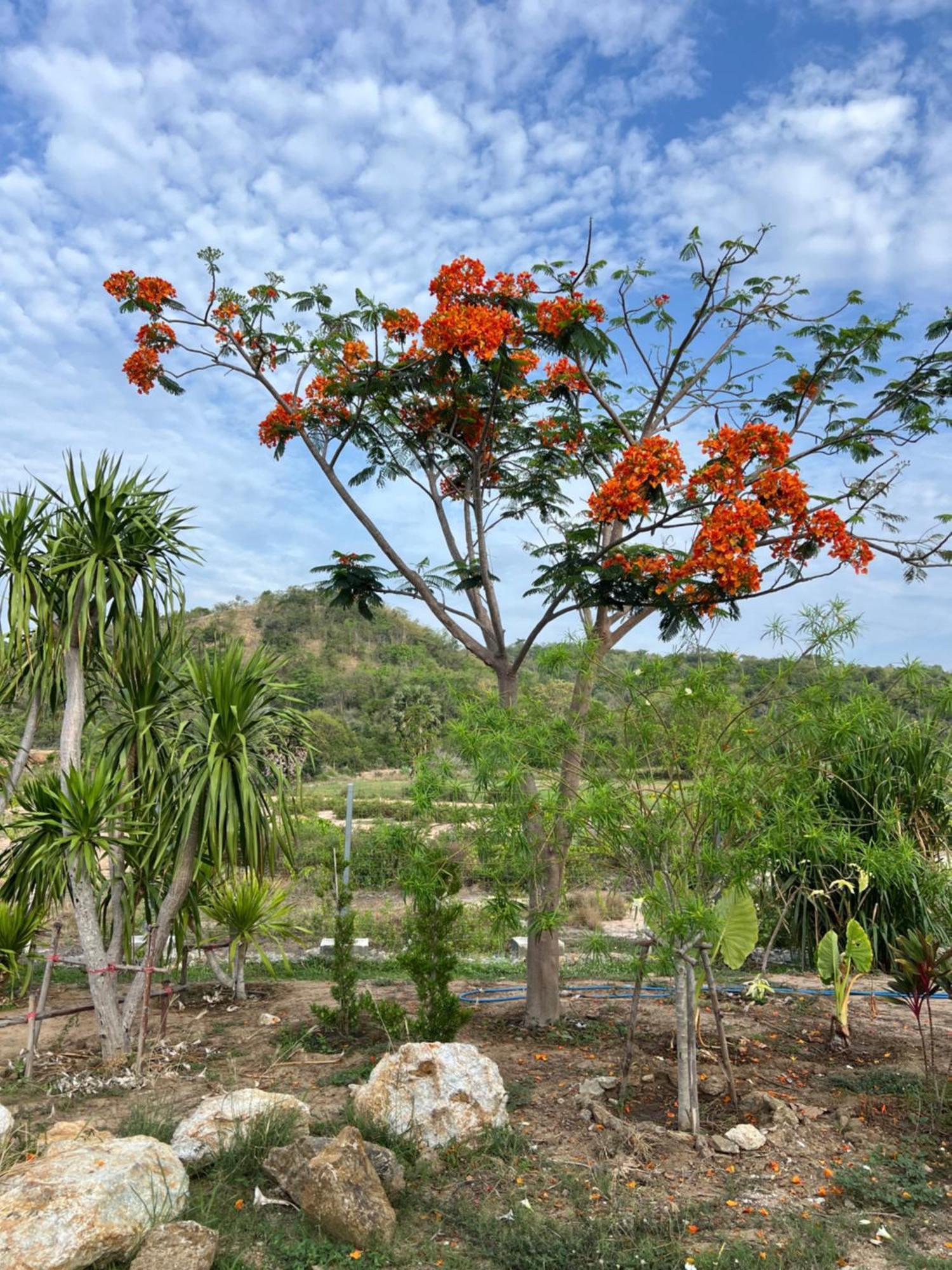 Baan Mahasamut Pranburi Sam Roi Yot Exterior foto